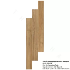 Sàn Gỗ Inovar FE879 2 Sàn Gỗ Inovar Fe879