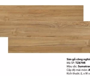 Sàn Gỗ Inovar Tz879