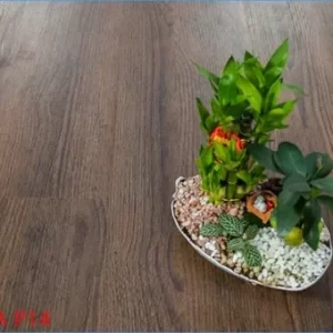 Sàn Gỗ Robina 12mm P14