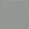 Sàn Nhựa Vinyl Cuộn Thể Thao Ibtflor 9905